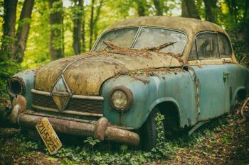 Broken down car surrounded by trees